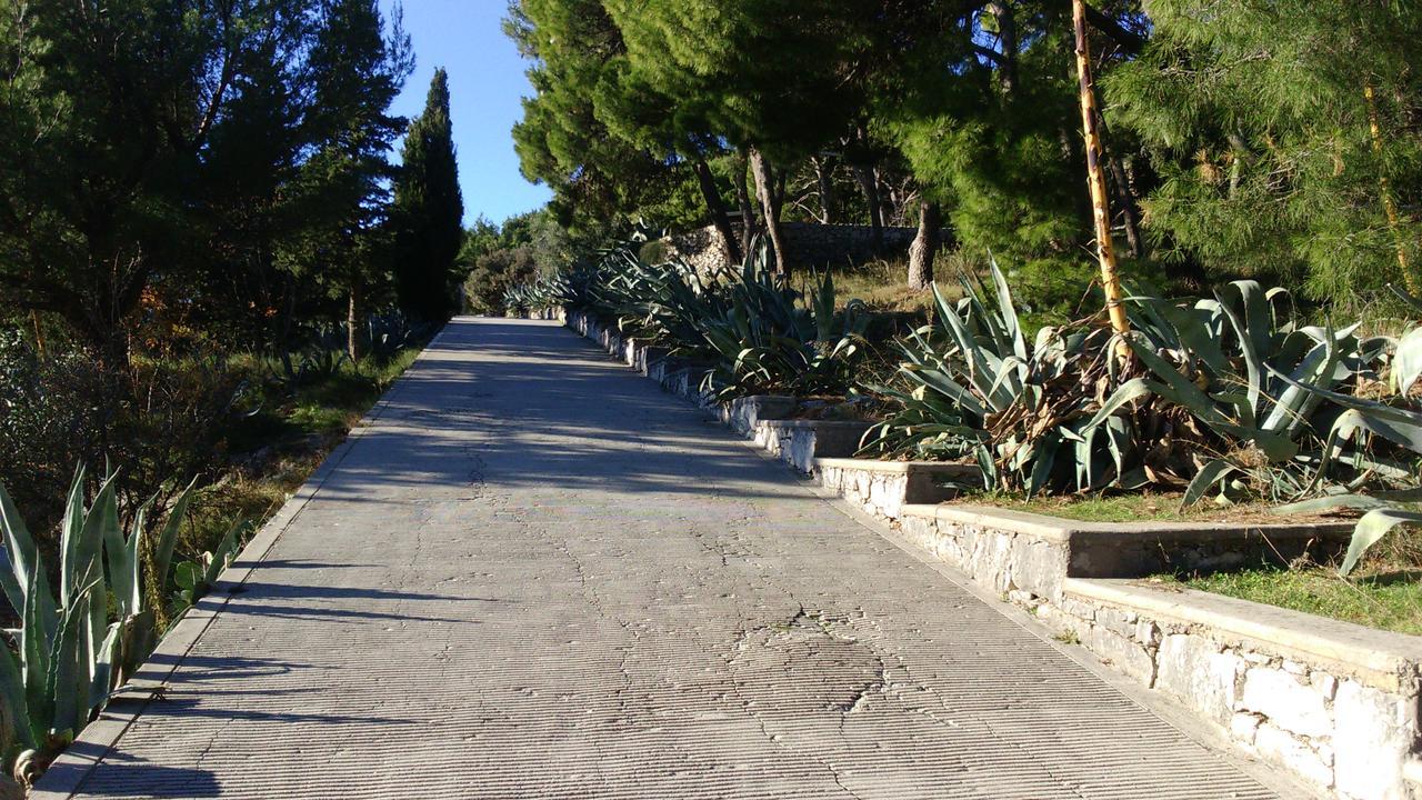 Apartment Bella Split Bagian luar foto